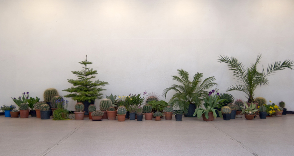 MassaSonora Jazz Festival - Paolo Ferro